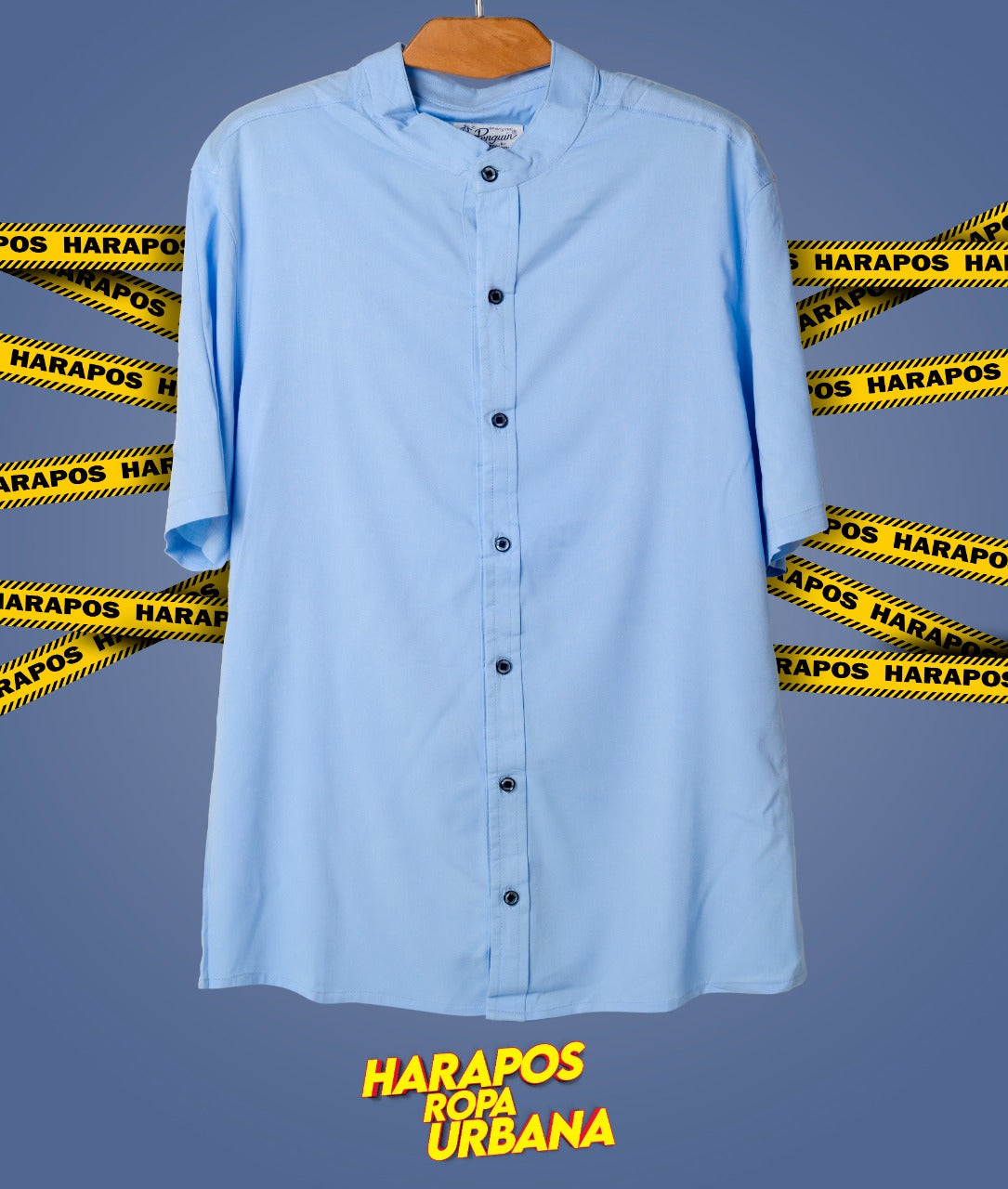 Camisa basica celeste entera