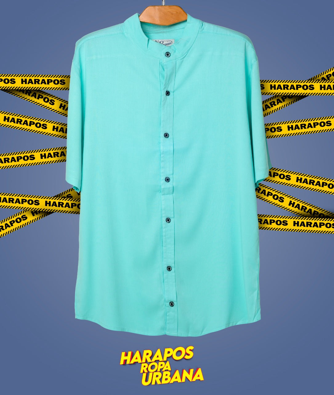 Camisa basica verde agua entera